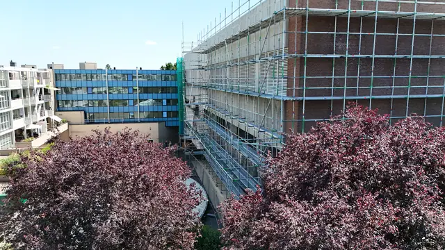 Our work